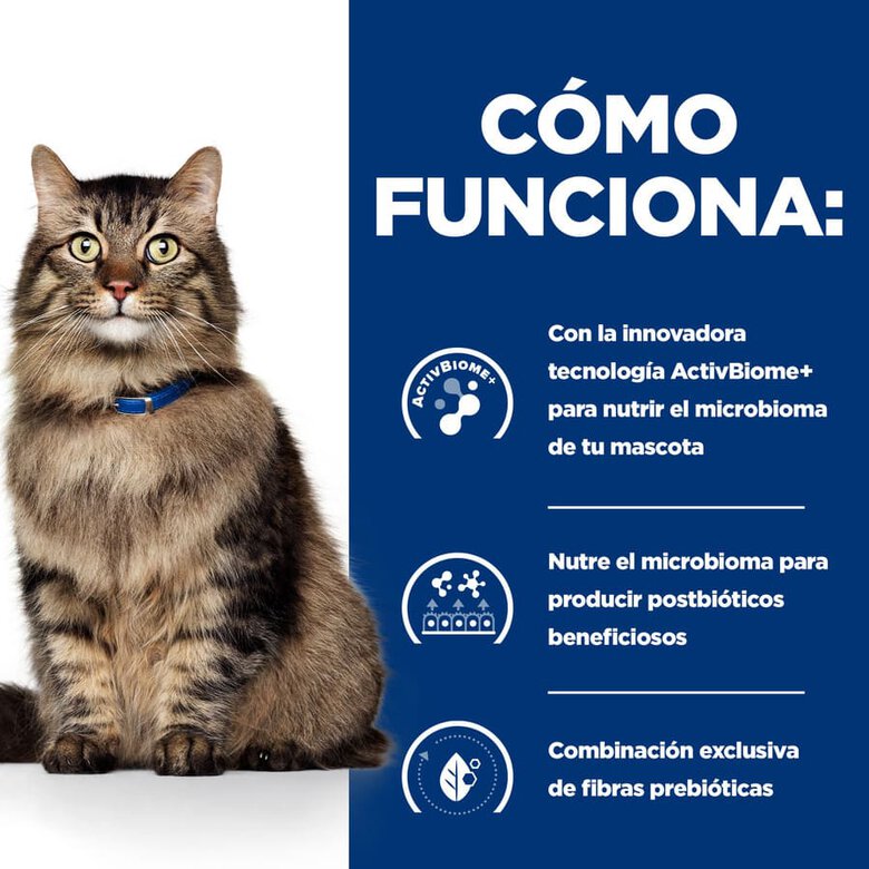 Hill's Prescription Diet Gastrointestinal Biome Pollo pienso para gatos, , large image number null
